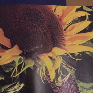 Meet your Posher, Anita